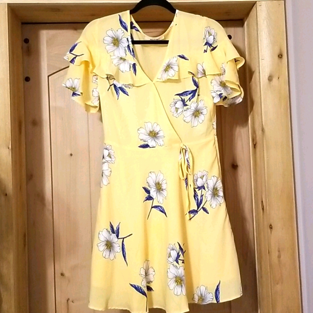 Francesca's Wrapped Dress